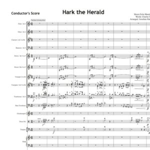 Hark the herald - Orchestral Set